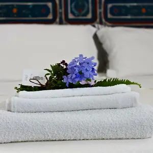 Buon Consiglio Apartment